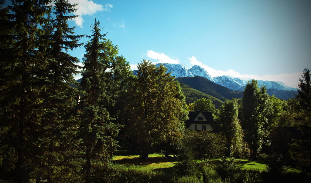 Vila Klimkowka Zakopane Pokoj fotografie