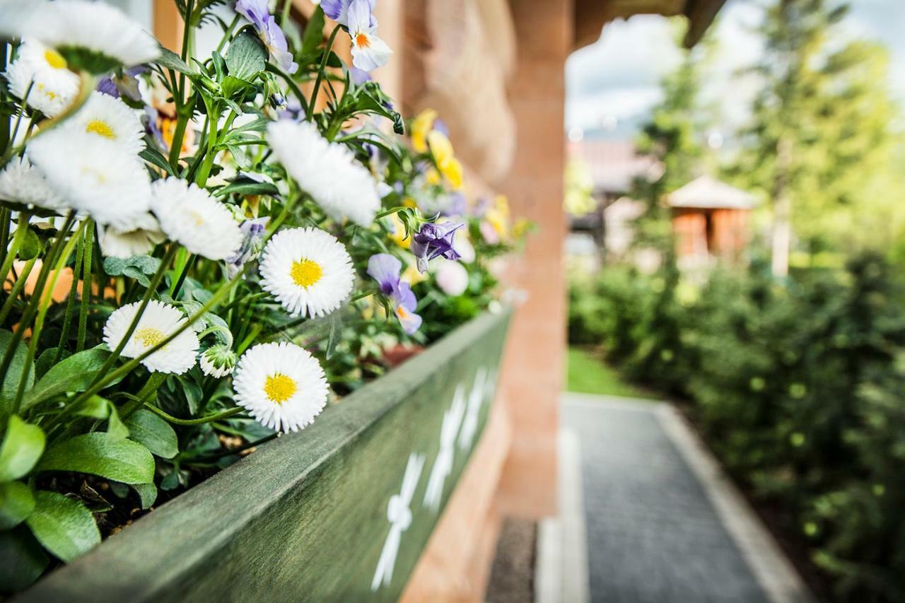 Vila Klimkowka Zakopane Exteriér fotografie